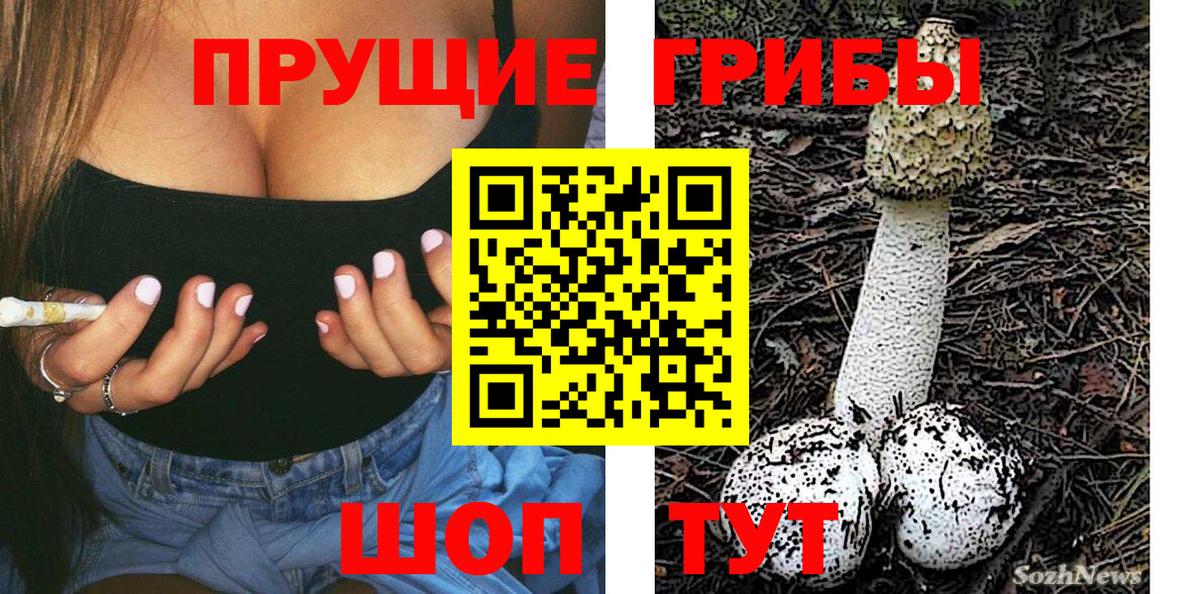 Псилоцибиновые грибы GOLDEN TEACHER Великий Новгород