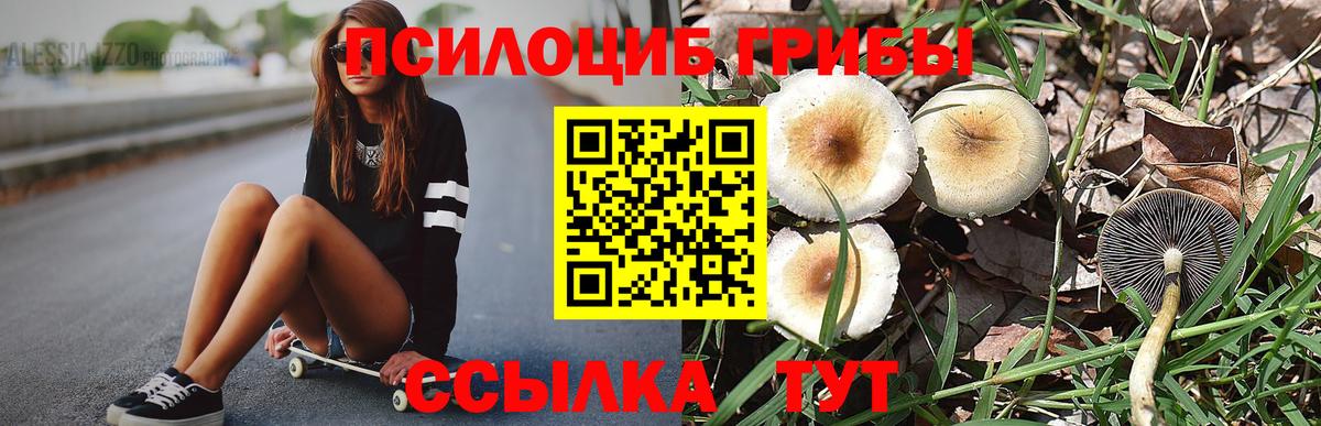 Великий Новгород  Галлюциногенные грибы мухоморы  Галлюциногенные грибы Cubensis  Вход с VPN 